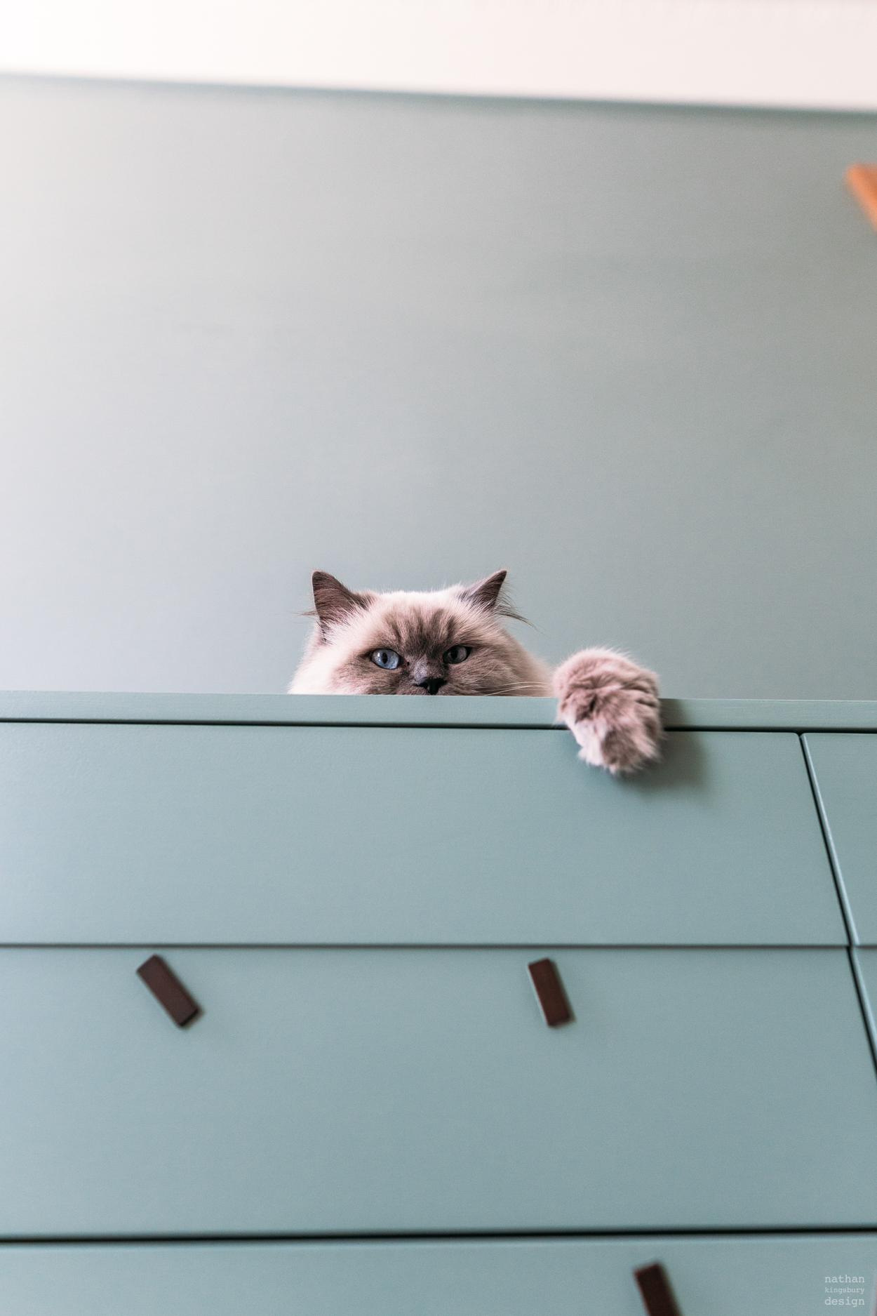 bespoke bedroom furniture with cat hampstead london